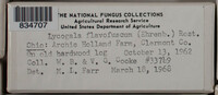 Image Associated With the Occurence